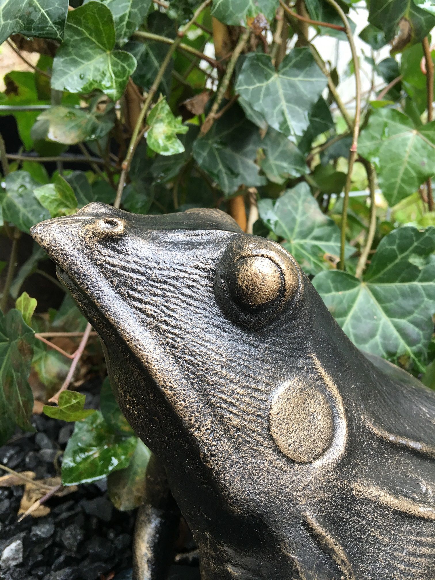 Prachtige forse bronskleurige kikker, vol gietijzer!!